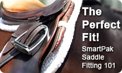 Get the Perfect Fit! Read about Saddle Fitting