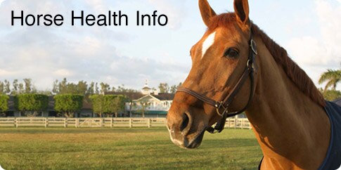 Health & Nutrition