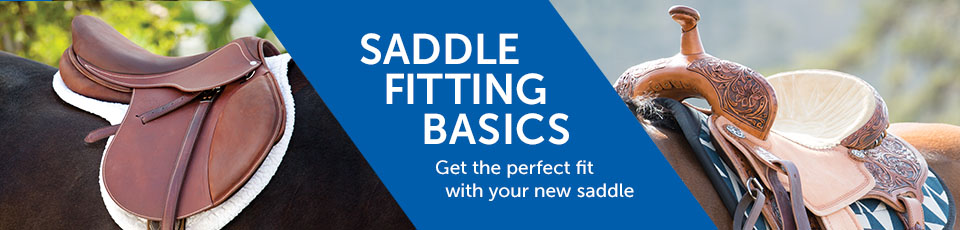 Saddle Fitting Basics