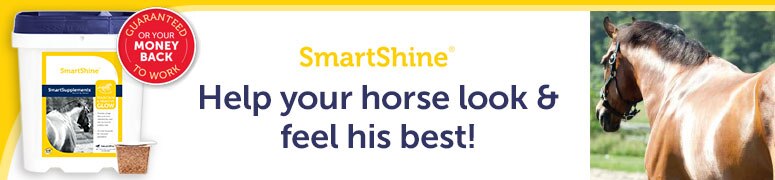 SmartShine
