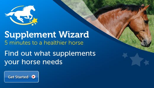 Keep bugs off your horse and out of your barn!