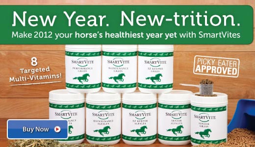 New Year. New-trition.