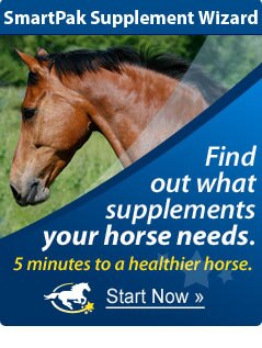 Supplement Advisor