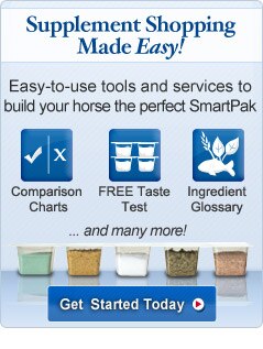 Supplement Shopping Made Easy