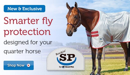 Smarter fly protection designed for your quarter horse. Rockin' SP.