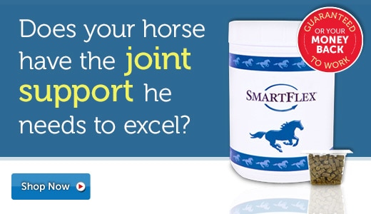Does your horse have the joint support he needs to excel?
