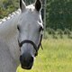 Meet Our Featured Star, Zackly Right!