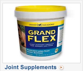 Joint Supplements