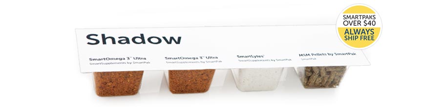 Basic SmartPak Wells