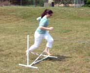 Stadium jumping at SmartPak's annual company picnic