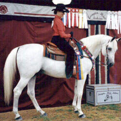 Kellie P and Star Cruiser