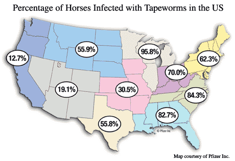 tapeworm map