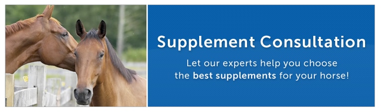 Supplement Consultation