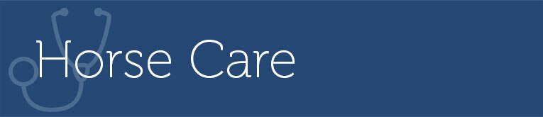 Horse Care