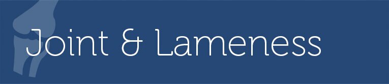 Joint & Lameness
