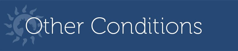 Other Conditions