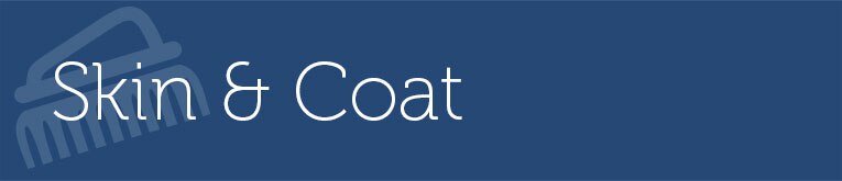 Skin & Coat