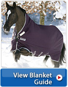 Easy Guide to Blanket Shopping 