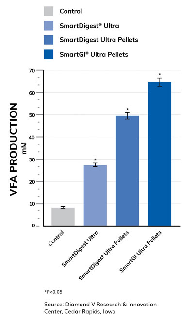 Research Graph