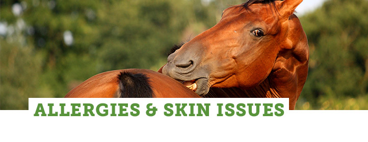 Allergies & Skin Issues Allergies & Skin Issues