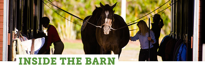 Zone: Inside the Barn Zone: Inside the Barn