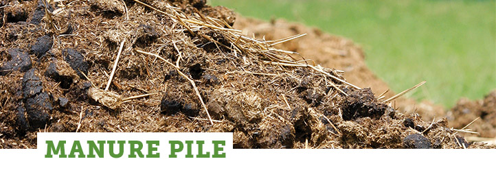 Zone: Manure Pile Zone: Manure Pile