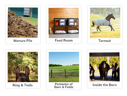 Fly Solutions Smartpak Equine