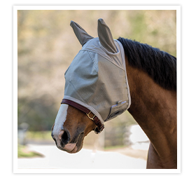 Fly Mask Fly Mask