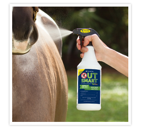 Fly Spray Fly Spray