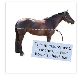 How to Measure How to Measure