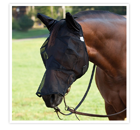 Fly Mask Fly Mask