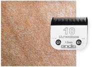 horse hair length using #10 clipper blades