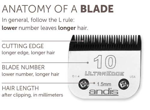 Horse clipper blades have several parts. Blades have a cutting edge, blade number, and tell hair length after clipping in millimeters