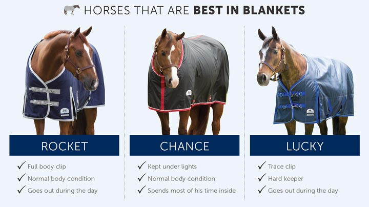 When To Blanket A Horse Chart