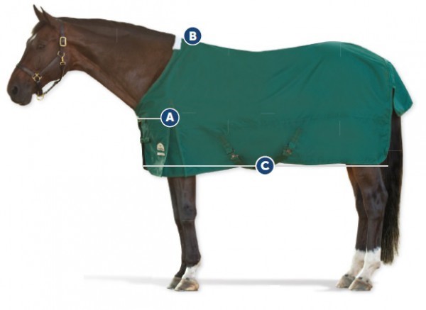 Horse Blanket Denier Chart