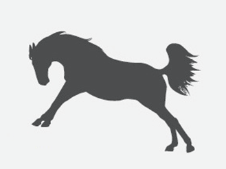 horse Silo