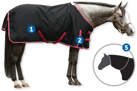 Smartpak Blanket Chart