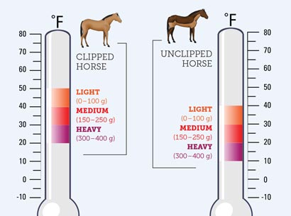 Heat Index Chart For Horses