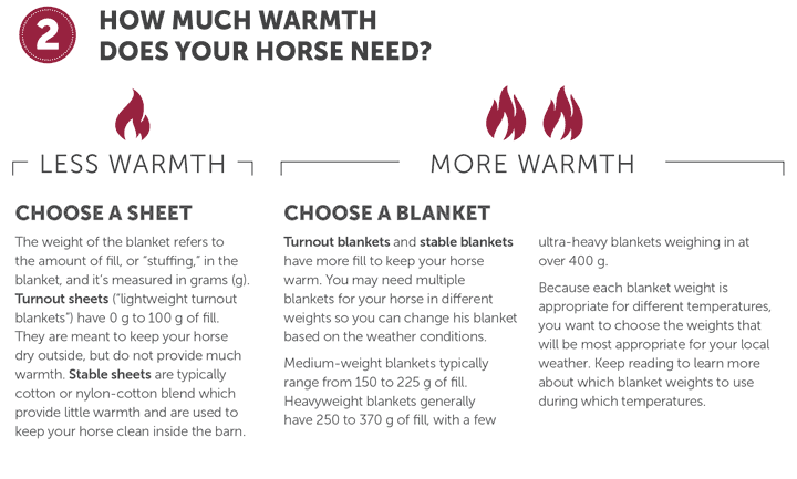 Horse Blanket Temperature Chart