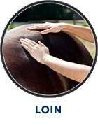 Henneke: loin