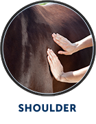 Henneke: shoulder