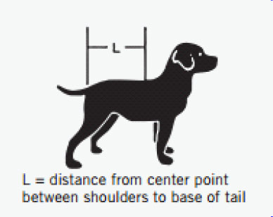 Sizing Chart for Back On Track Nella Dog Coat