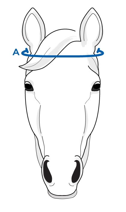 Size guide for Browband