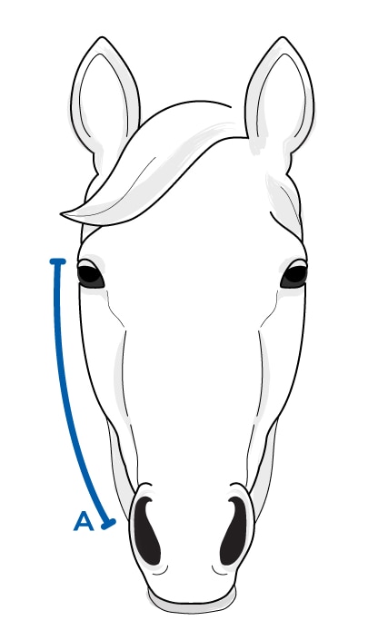 Size guide for Cheek Piece