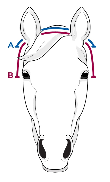 Size guide for Crownpiece
