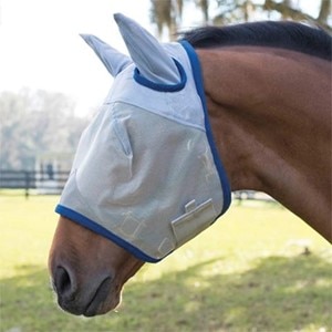 Horse wearing a flymask with UV protection to help protect his eyes.