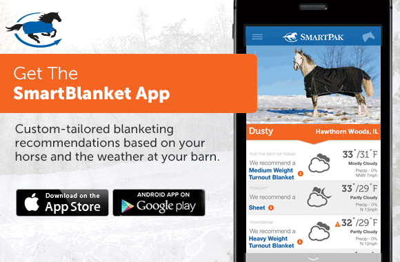 When To Blanket A Horse Temperature Guidelines Options And Types Contact Us 24 7