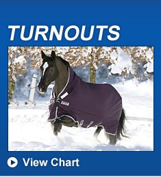 smartpak equine winter blanketing help smartpak blanket chart