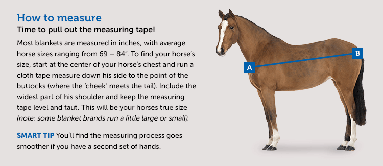 Sizing Chart for WeatherBeeta ComFiTec Plus Dynamic Turnout Sheet