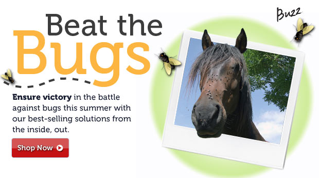 Beat the Bugs